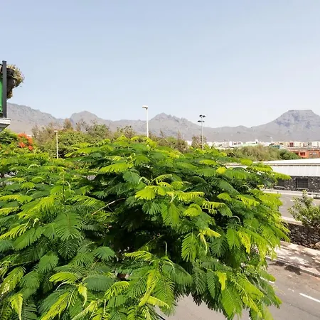 Live Adeje Jardin Botanico Ii Apartment *